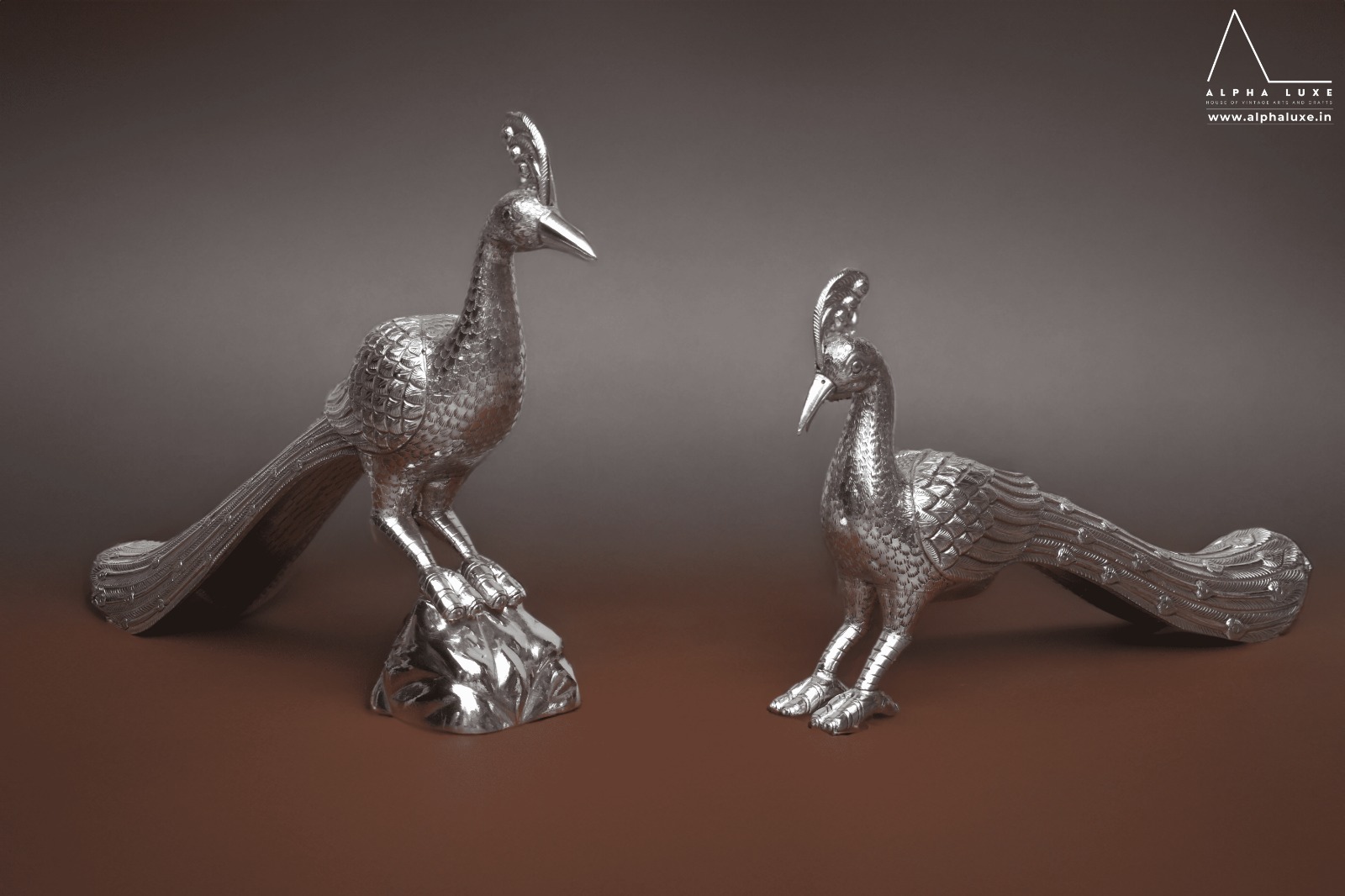 WhatsApp Image 2023-10-21 at 11.50.00 AM (13).jpeg